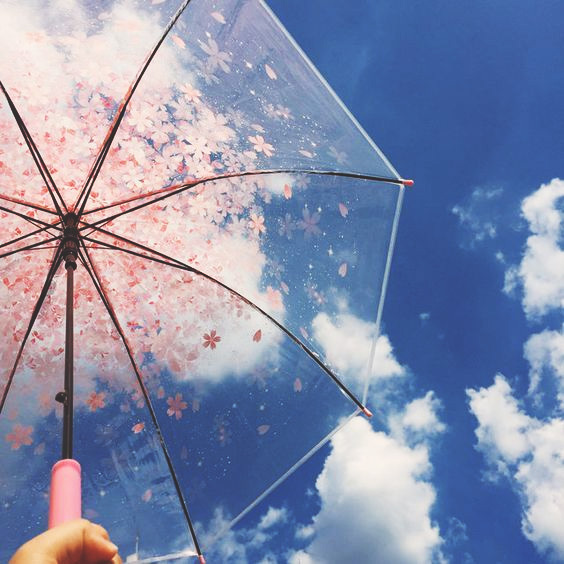 paraguas transparente estampado flores para mujer paraguas barato transparente plegable